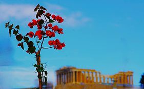 Absolute Athens Acropolis View
